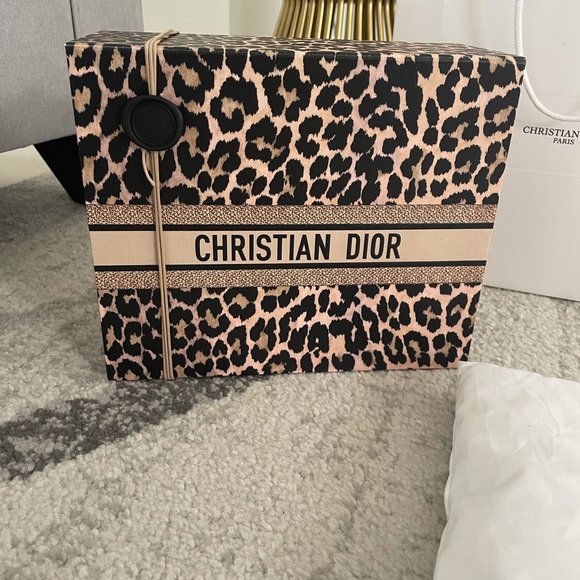 Authentic Christian Dior Bag, Magnetic Box, Dustbag and Pillow - Picture 2 of 7